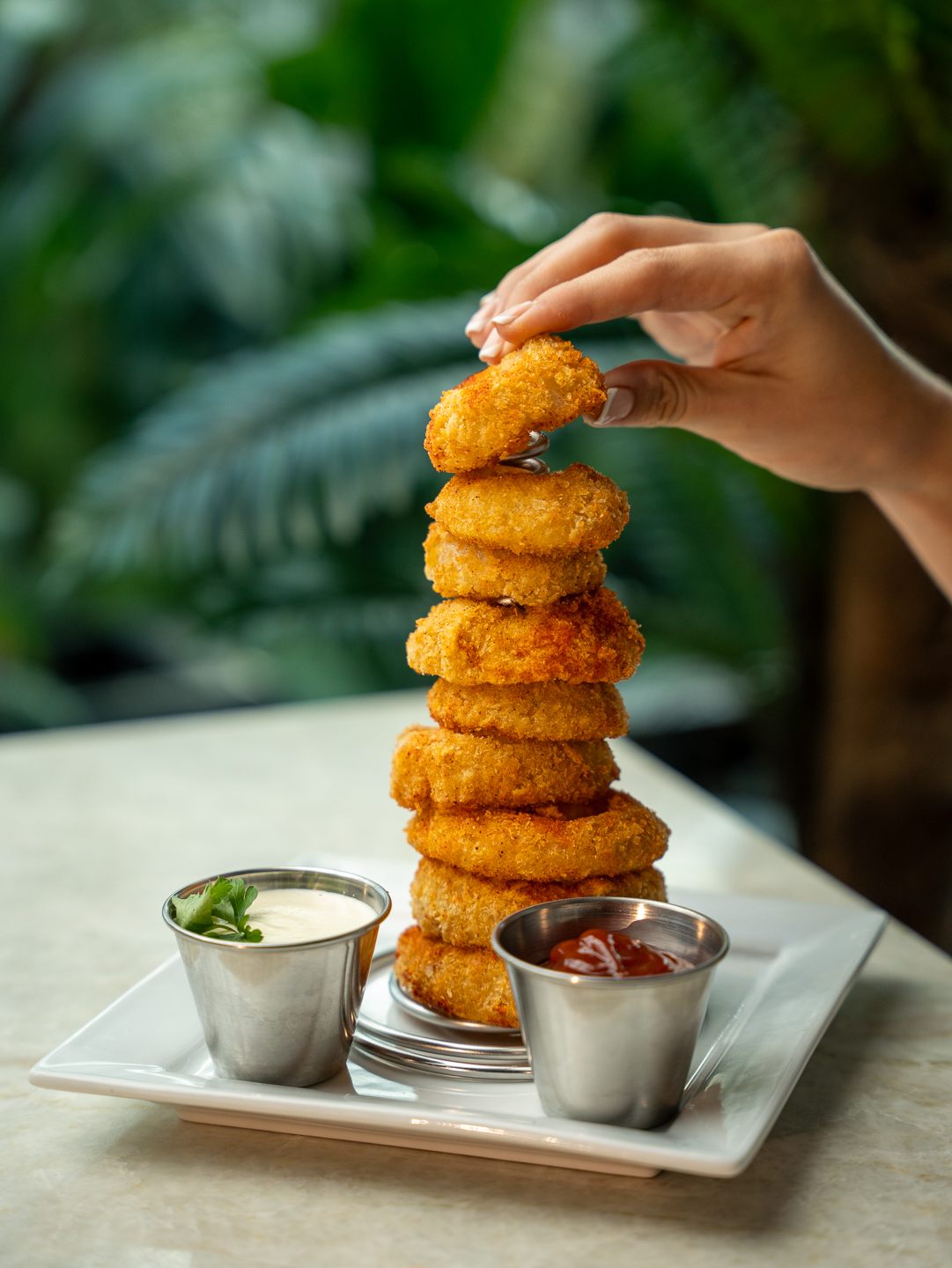 Onion Rings
